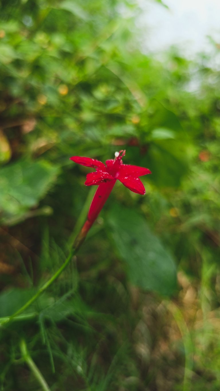 IMG20221019091353.jpg