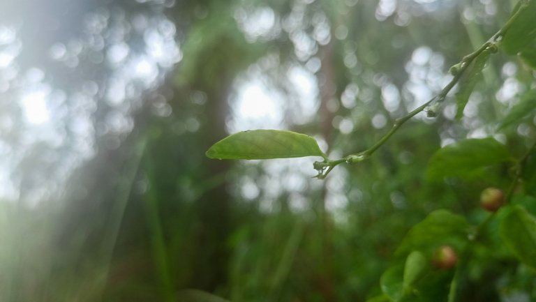 IMG20221006130109.jpg