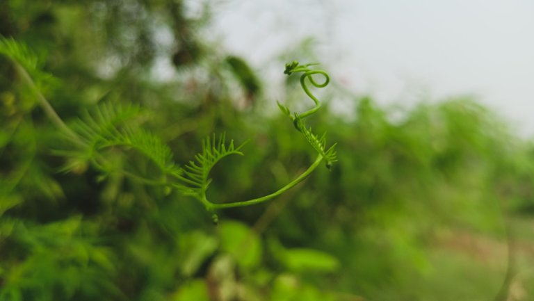 IMG20221019091430.jpg