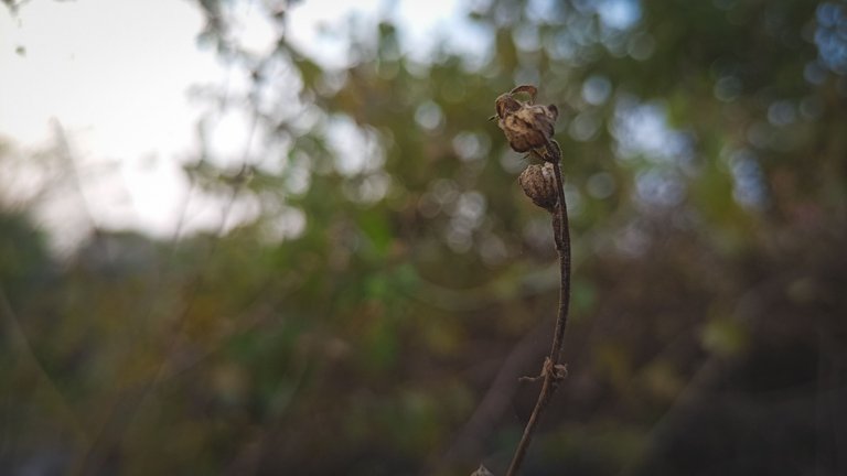 IMG20230126164211.jpg