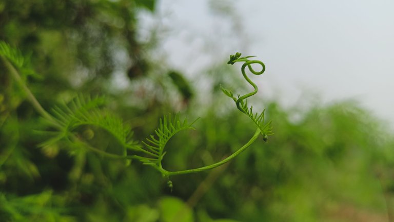 IMG20221019091432.jpg
