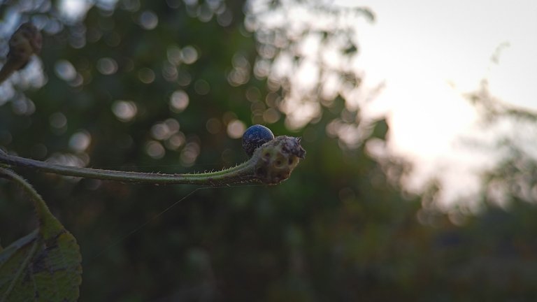 IMG20230126164403.jpg