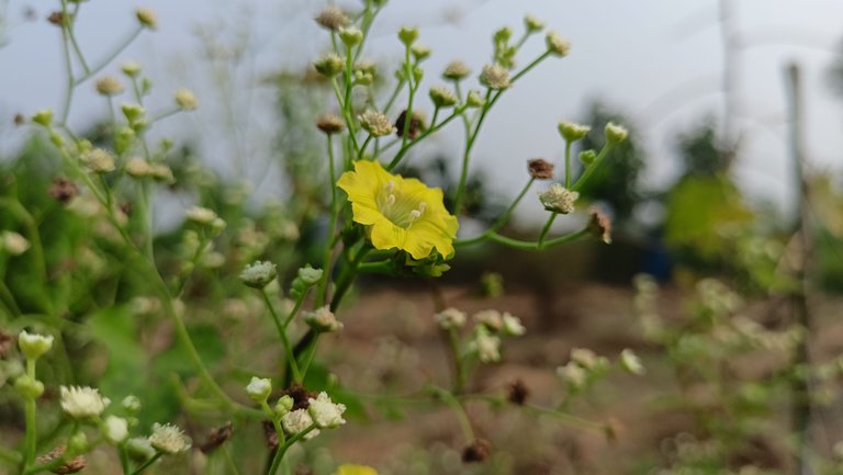 IMG20221019092011.jpg