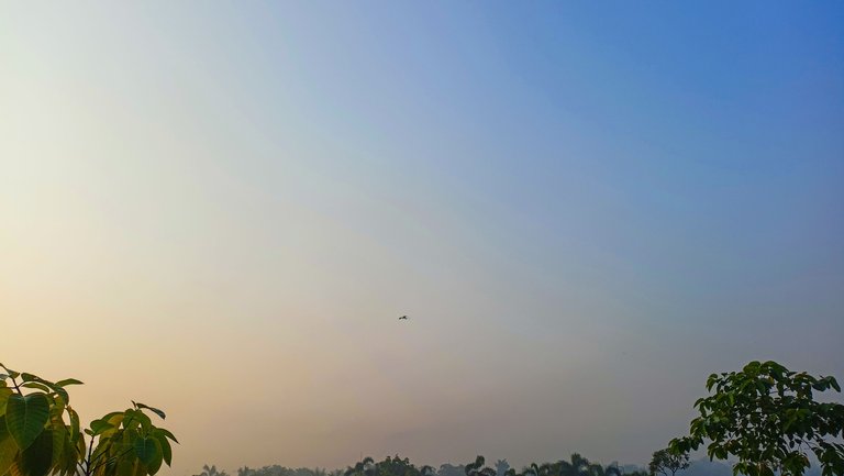 IMG20221119072807.jpg