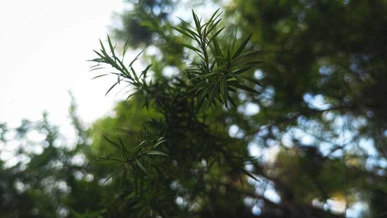 IMG20221119071950.jpg