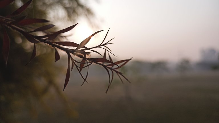 IMG20221119072734.jpg