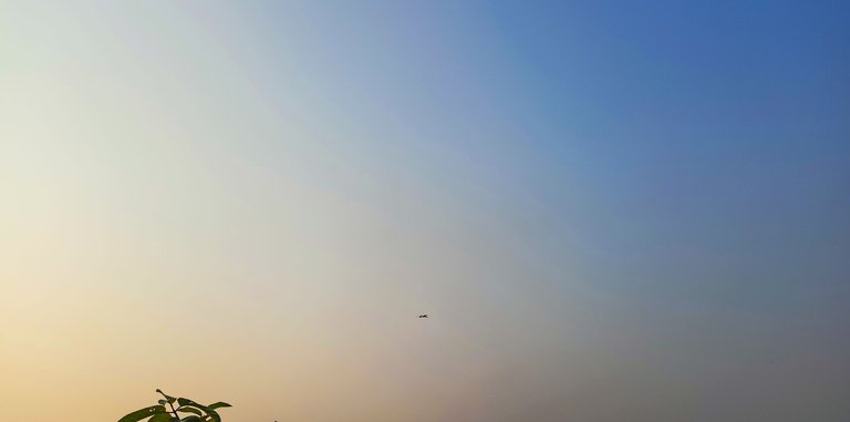 IMG20221119072809.jpg