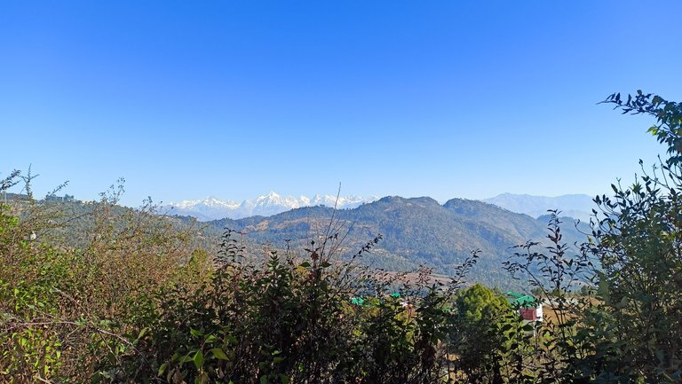 IMG20221222101546.jpg