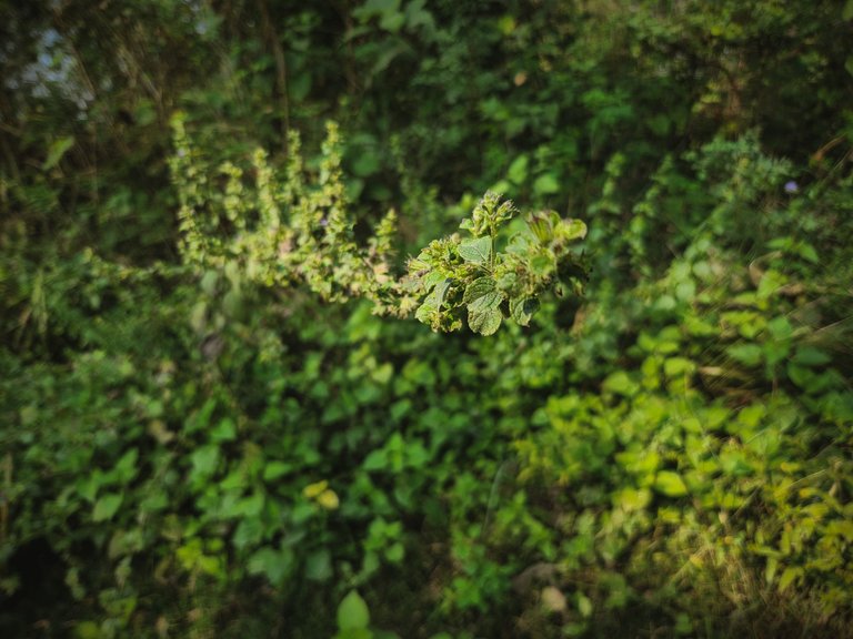 20231113_101033.jpg