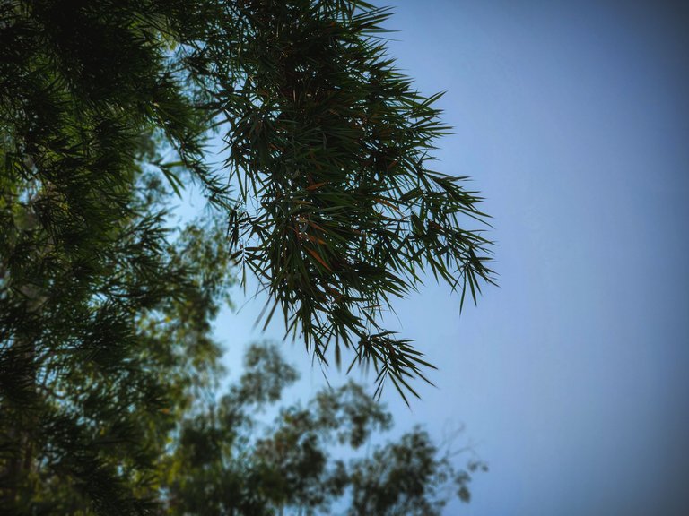 20231113_100715.jpg