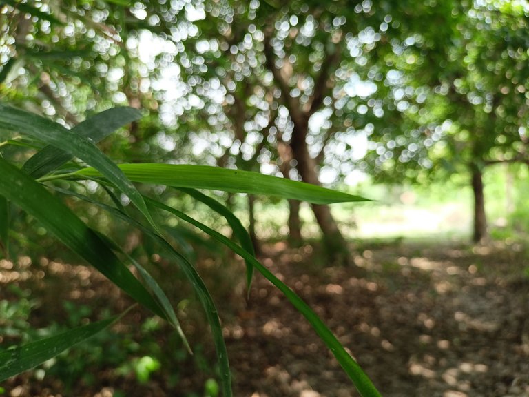 IMG20220706111111.jpg