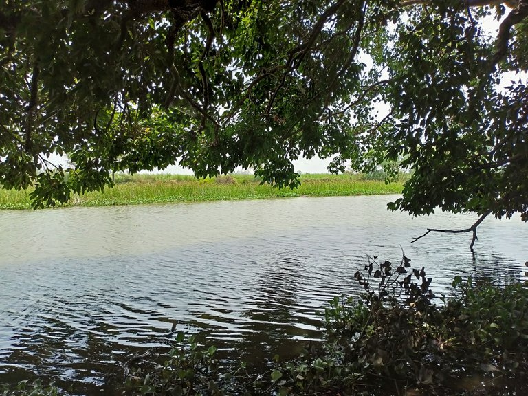 IMG20220706110842.jpg