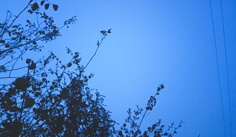 IMG20230216181441.jpg