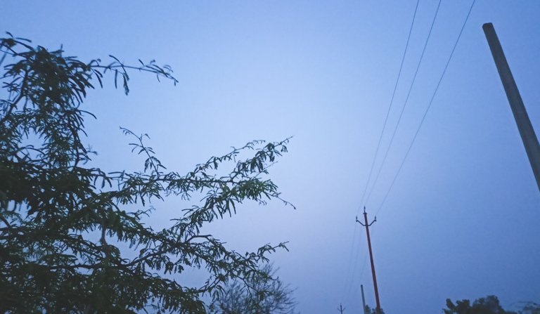 IMG20230216181458.jpg