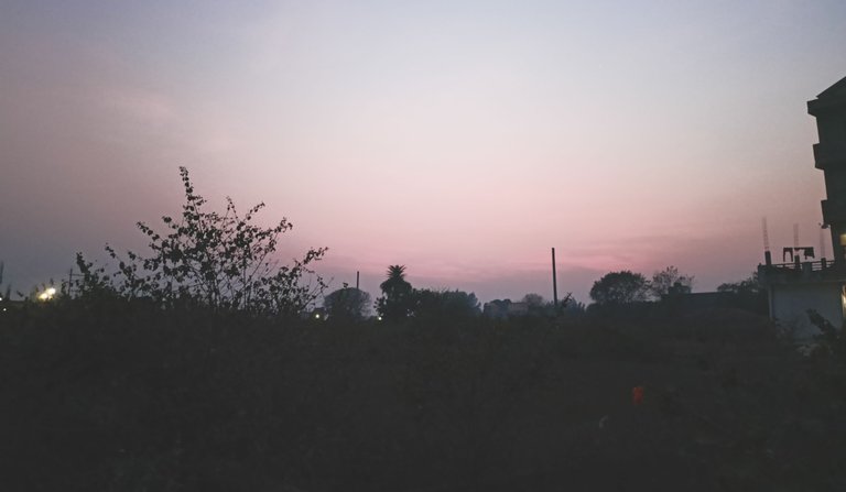 IMG20230216181552.jpg