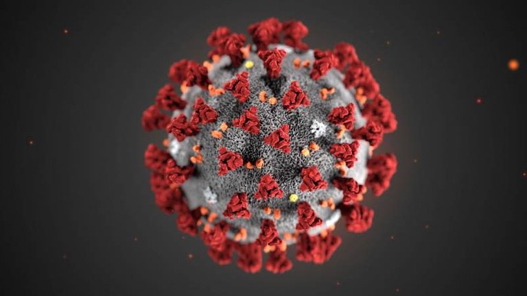 Coronavirus800x4501.jpg