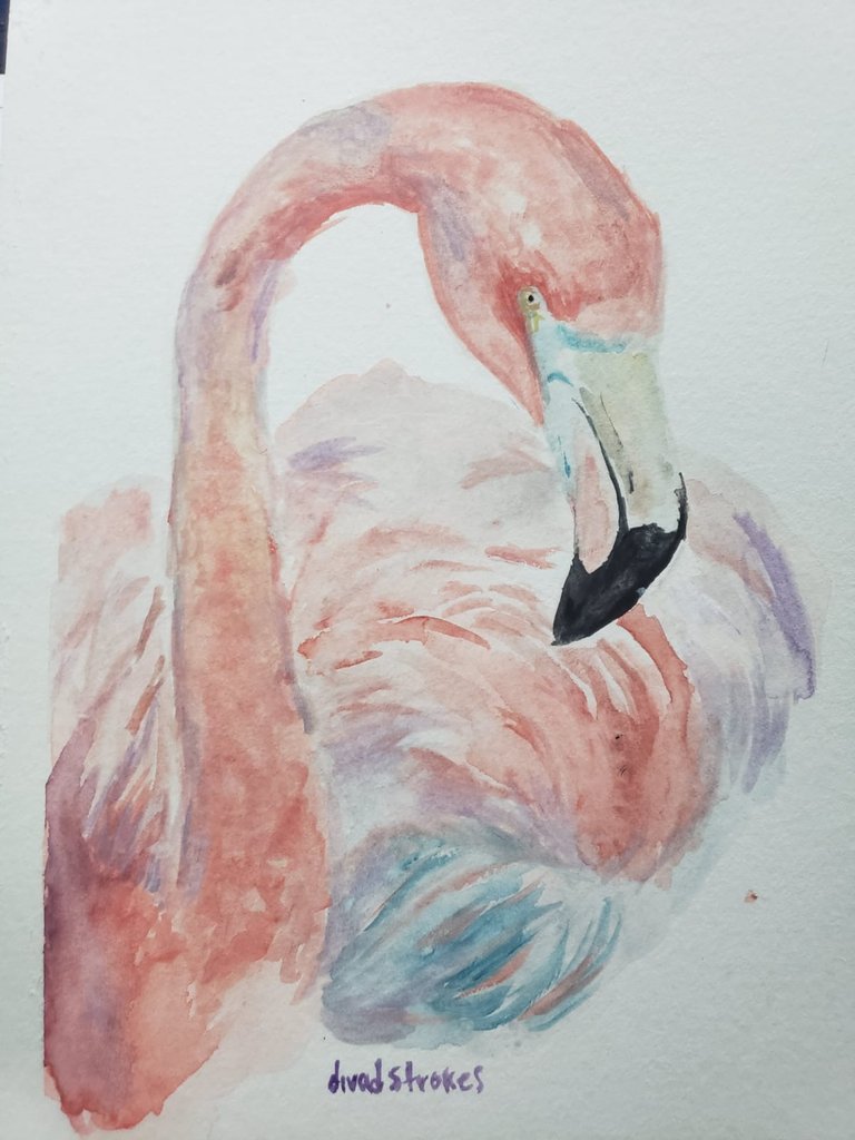 flamingo5.jpeg