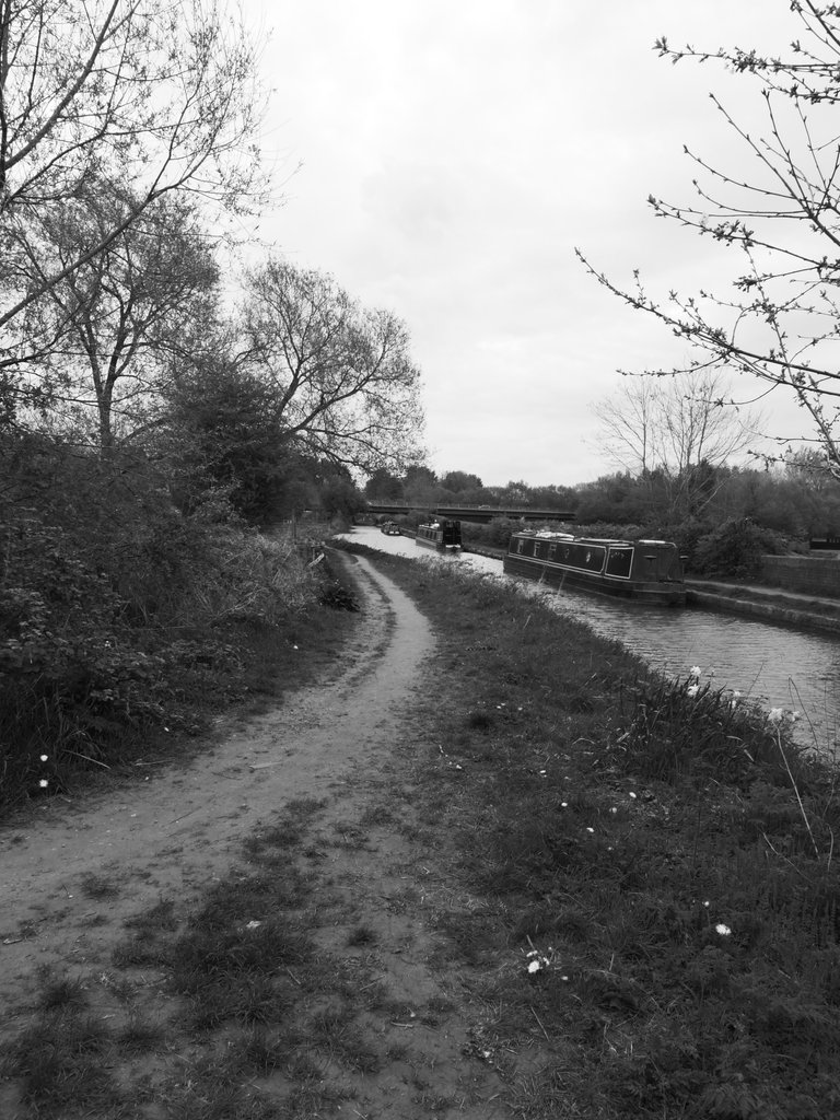 L1000699.JPG