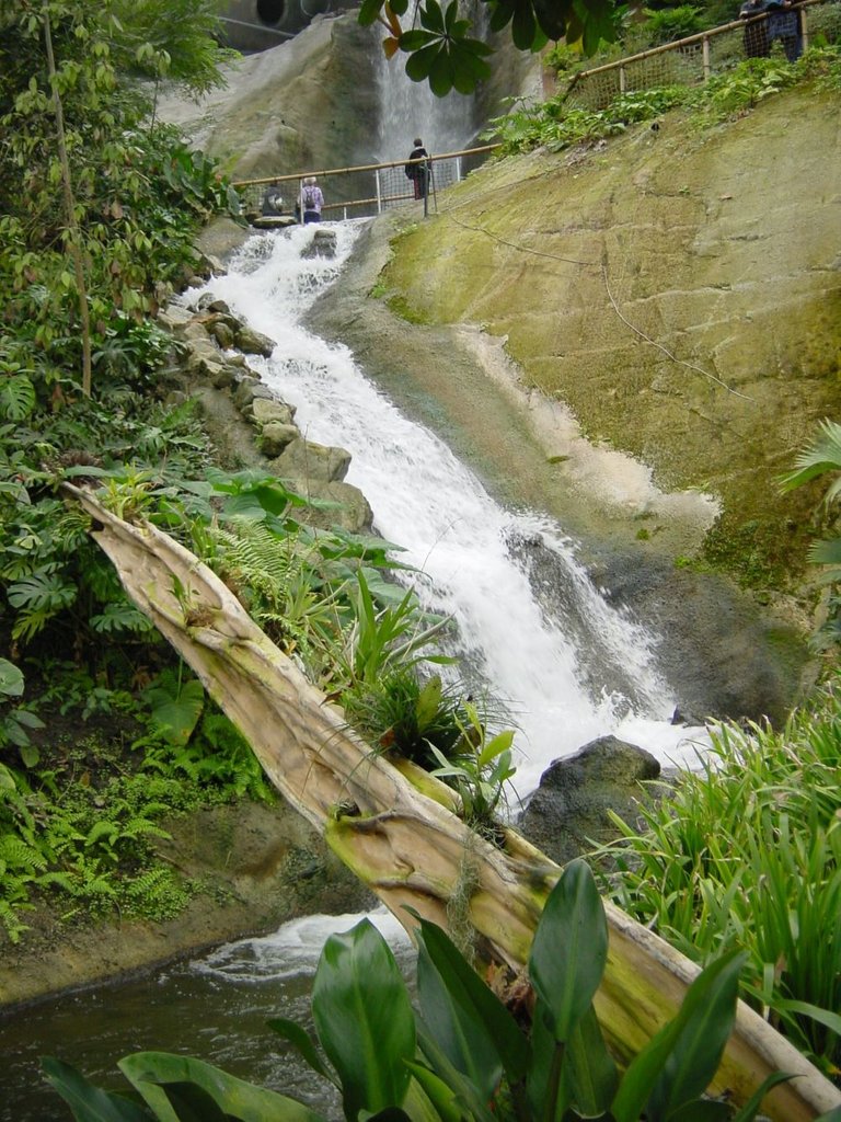 JPEG_005204.jpg