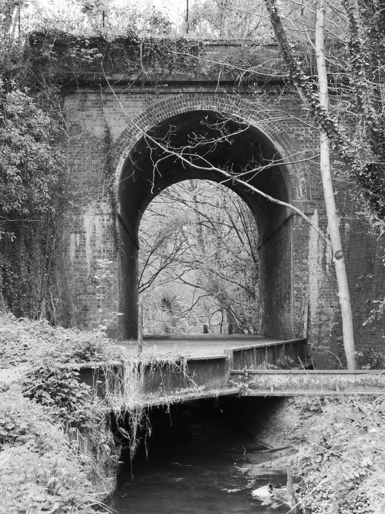 L1000697.JPG
