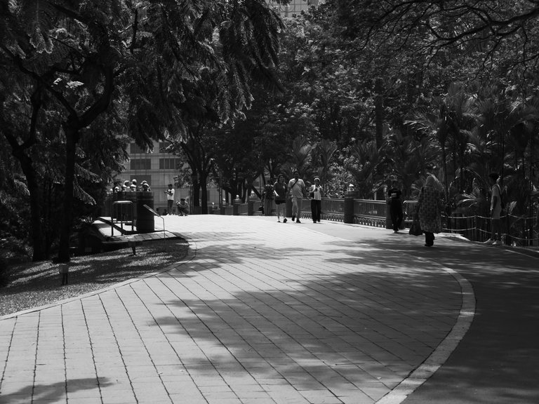 L1010034.JPG