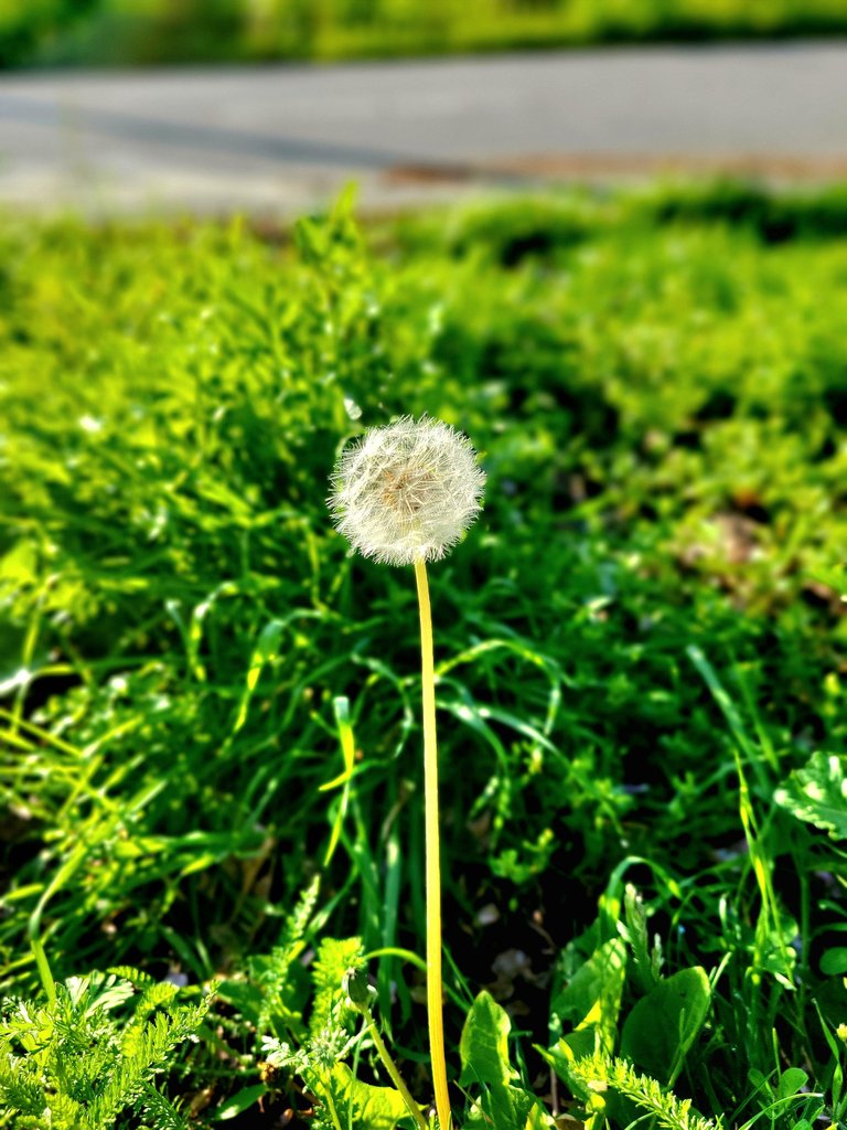20250502_075836.jpg