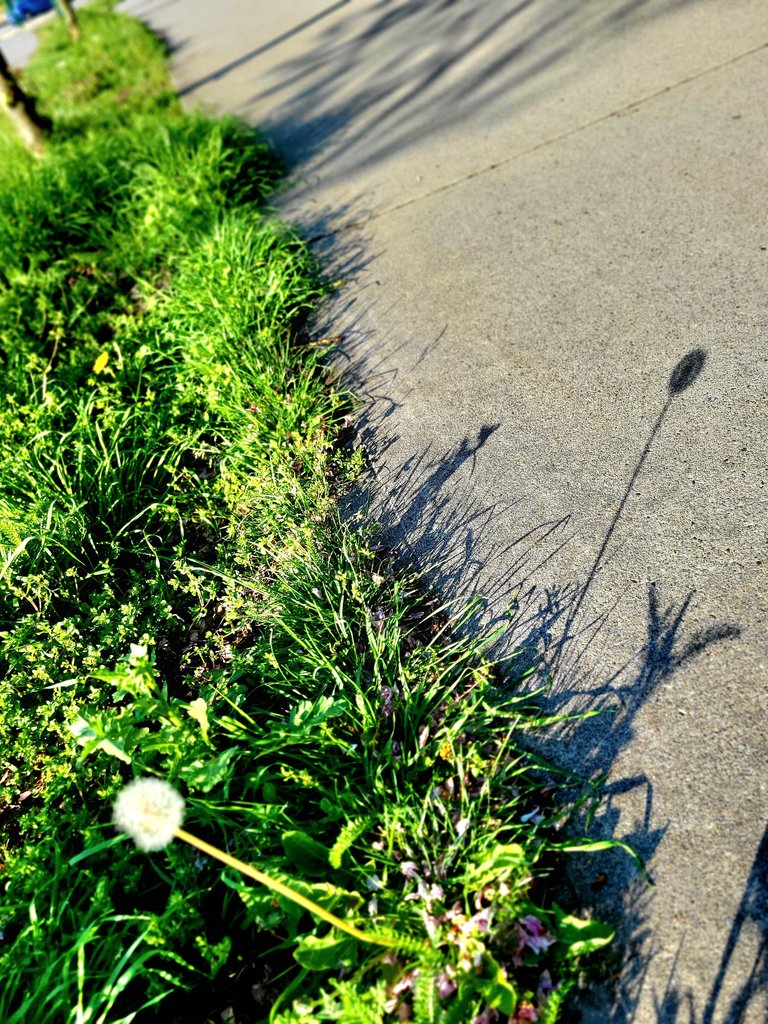 20250502_075844.jpg