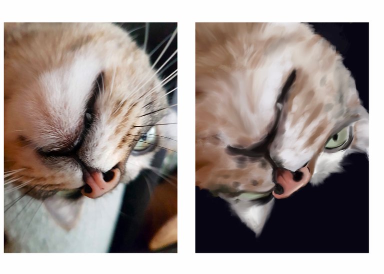AE942510-EF52-4E21-9BAD-3E9AE1D4B89D.jpeg