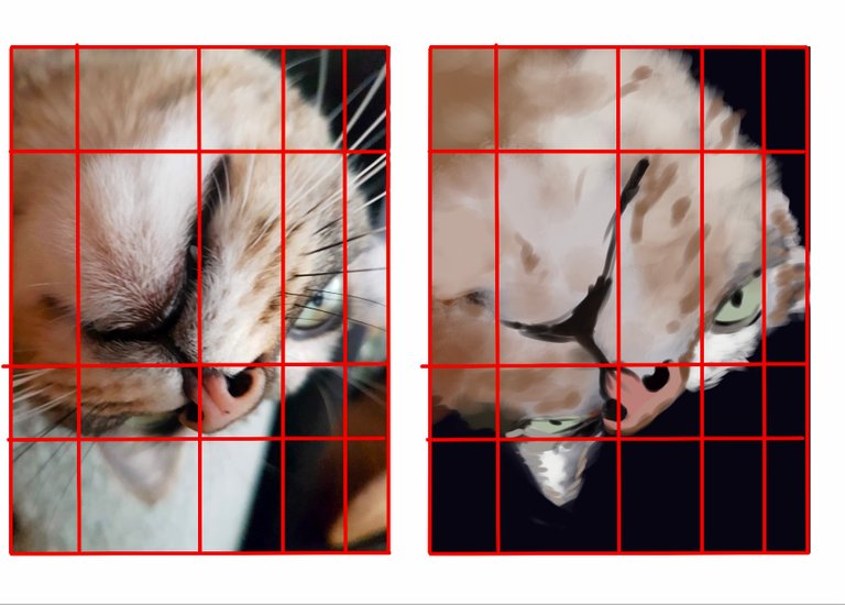 E97CA551-0967-4F8B-9211-FA77C4879B61.jpeg