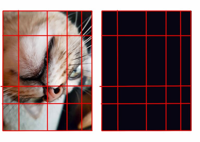 F272397E-3878-4671-8F5E-114EC2DC9085.jpeg