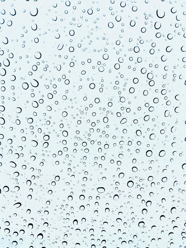 E1E240A5-DE05-4D1B-8900-D6CCE2FB8802.jpeg