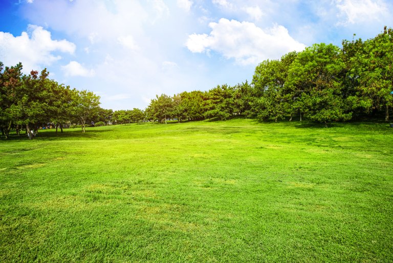 field-with-grass-clouds.jpg