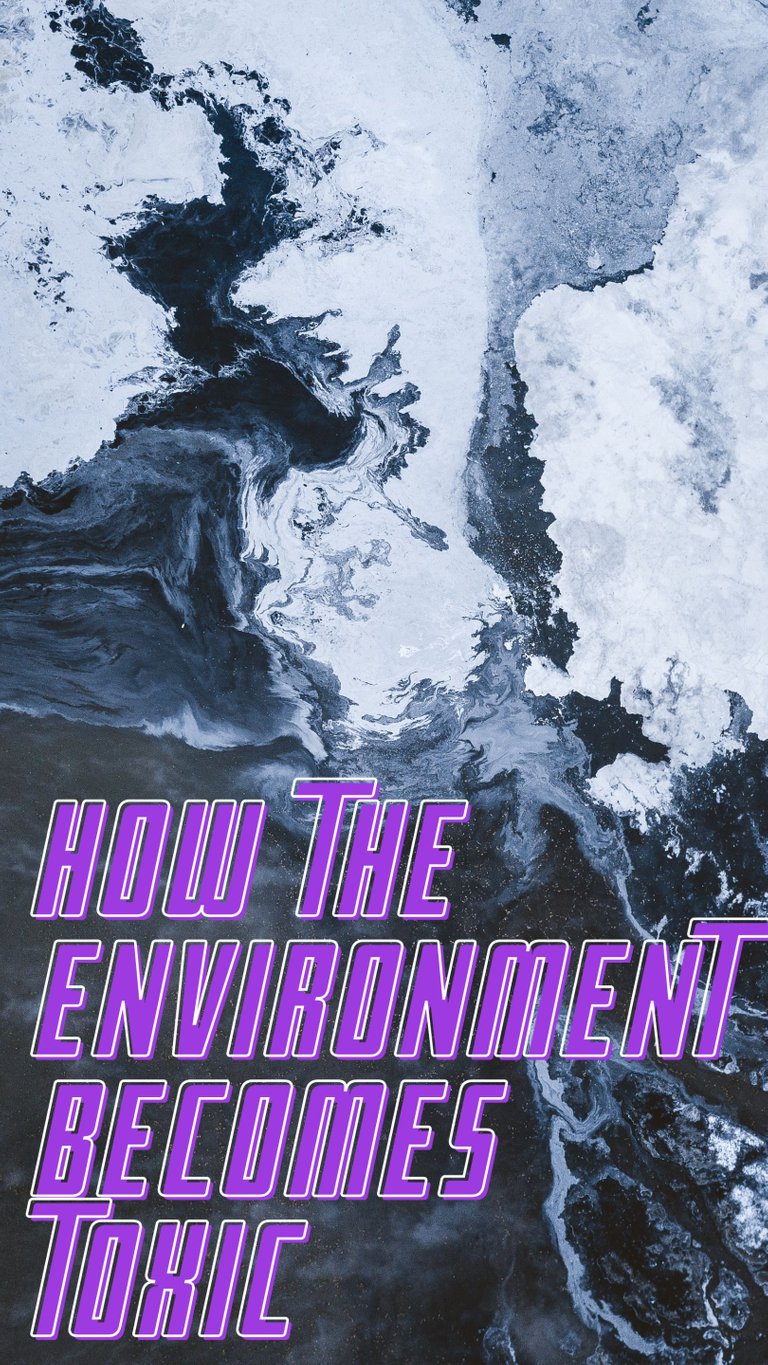 HOW THE ENVIRONMENT BECOMES TOXIC (1).png