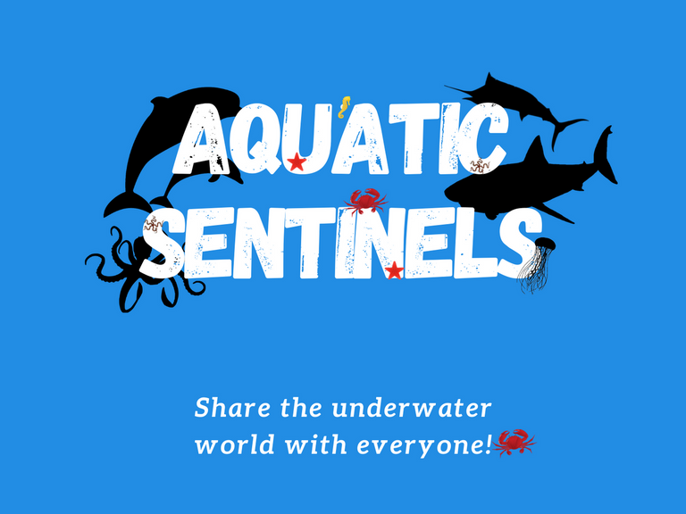 AquaticSentinels.png