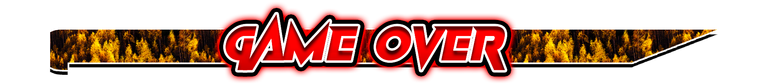 separador gaming photography game over.png