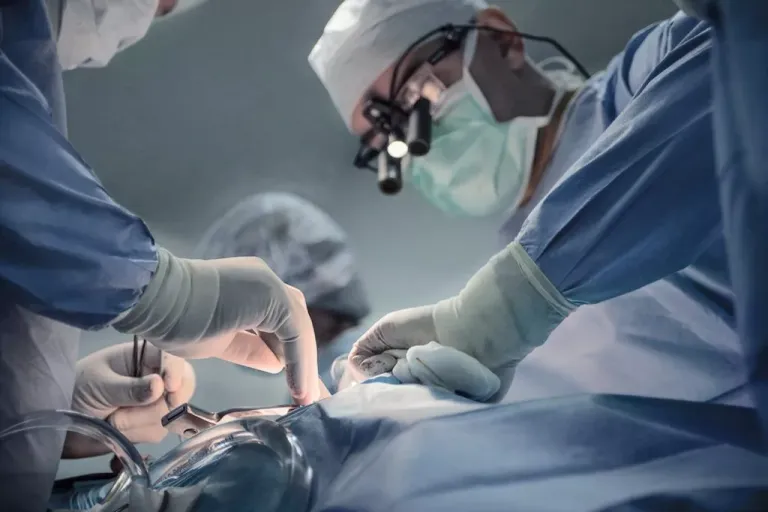 surgeons-have-transplanted-pig-liver-into-a-human-in-a-world-first-۱-1024x682.jpeg.webp