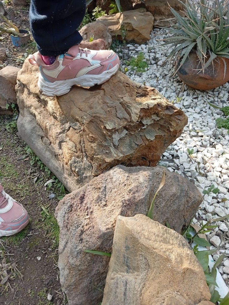 IMG_20250707_160259.jpg