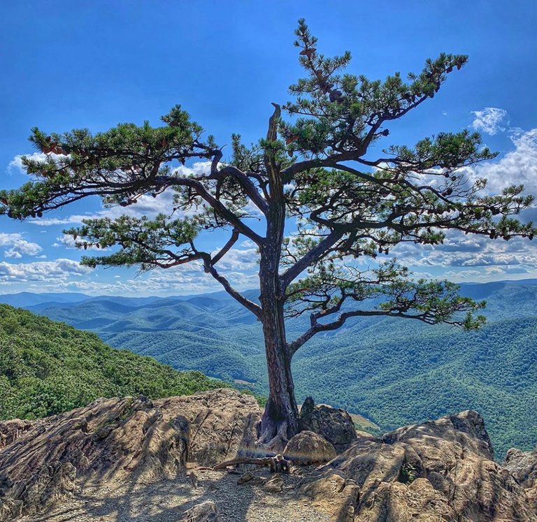 Blue Ridge Parkway, Virginia