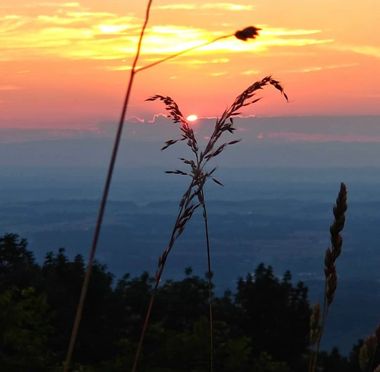 Shenandoah National Park, Virginia