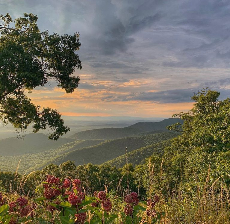 Shenandoah National Park, Virginia