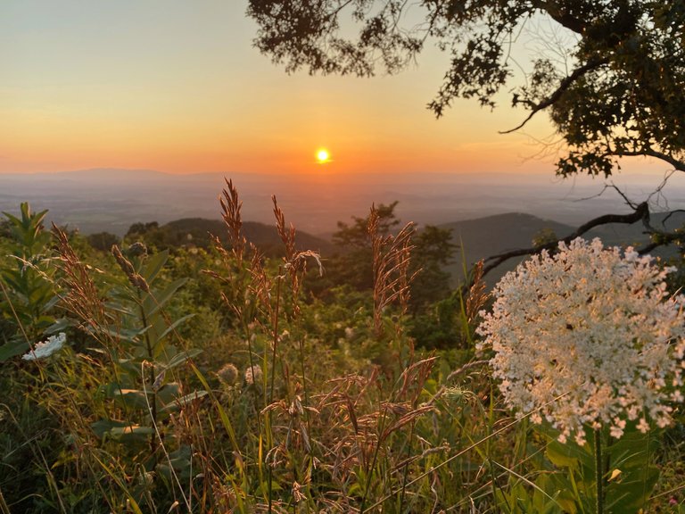 Sunset in the Shenandoah National Park