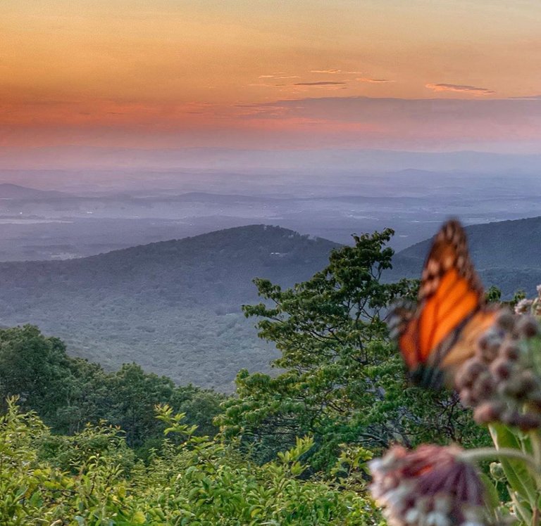 Shenandoah National Park 