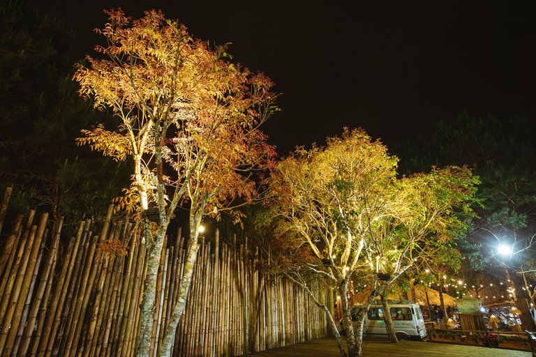 C90A9544-Enhanced-NR.jpg