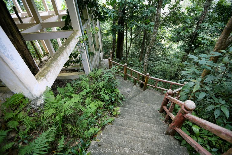 The steps to go up Binh An Linh Tu temple