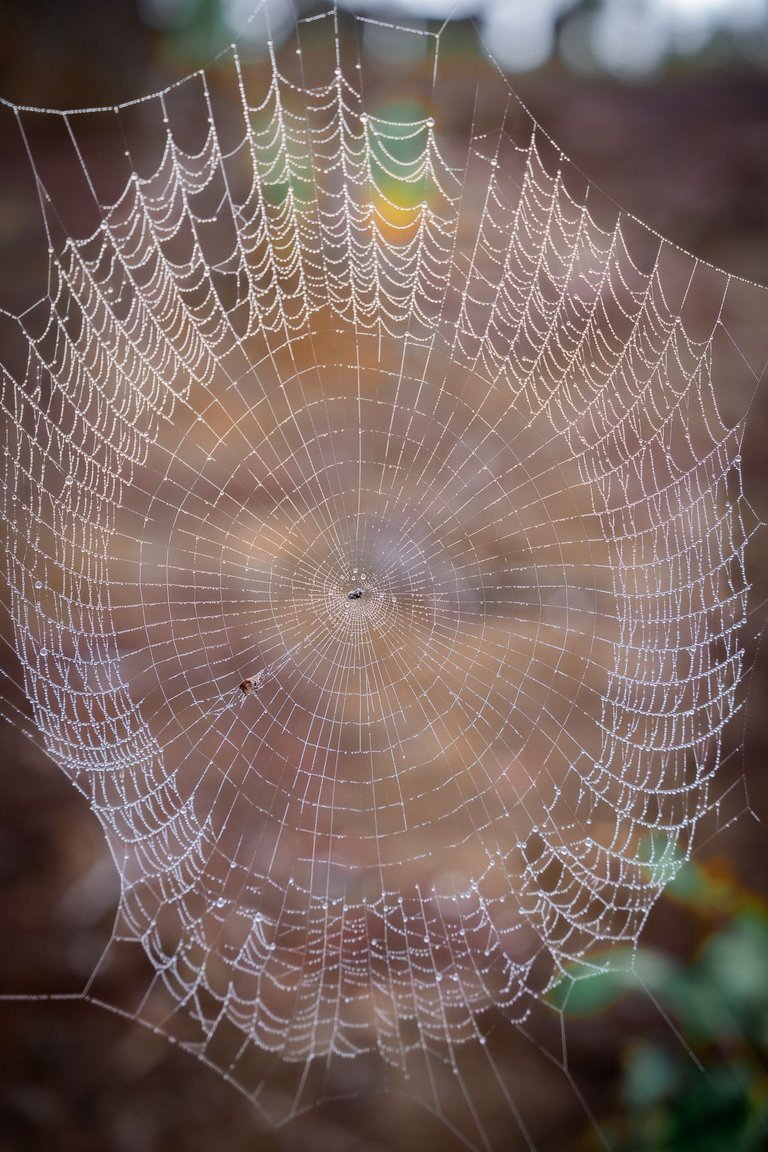 DSC03001.jpg