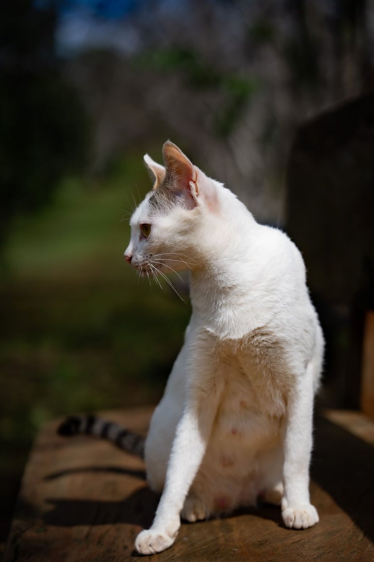 DSC04283.jpg