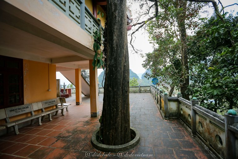 The temple is nestled in the middle of the forest.