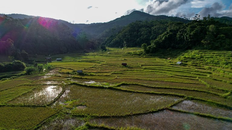 DJI_0394.jpg
