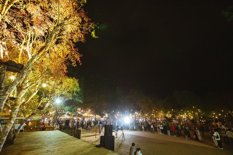 C90A9545-Enhanced-NR.jpg