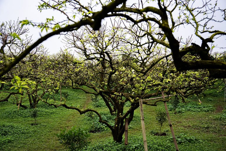 DSC00201.jpg